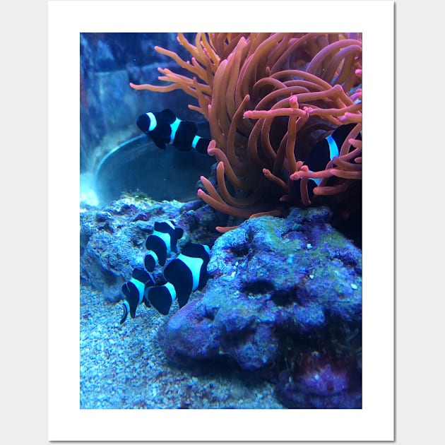 Black Clownfish Wall Art by AestheticNerd15